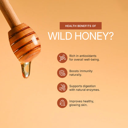 Wild Natural Honey 250G