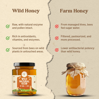 Wild natural honey​
