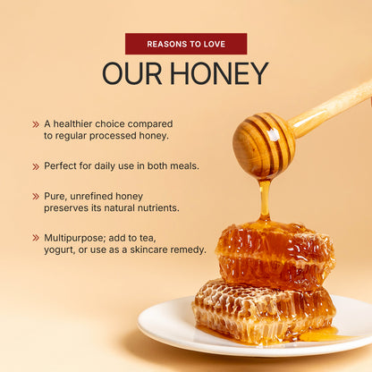 Wild Natural Honey 500G
