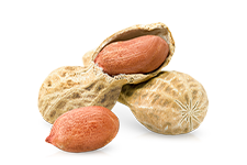 Peanuts
