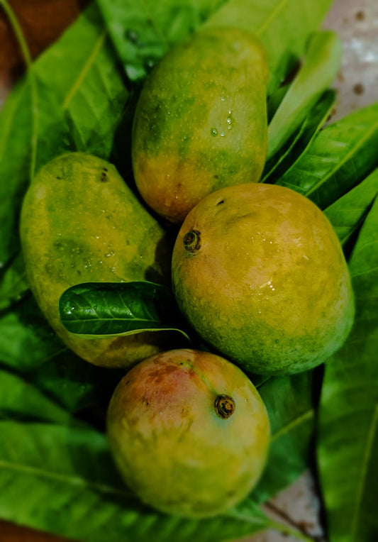 Kesar Mango