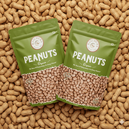 Peanuts 500 Gm (Pack of 2) - Raichura Organic Farm