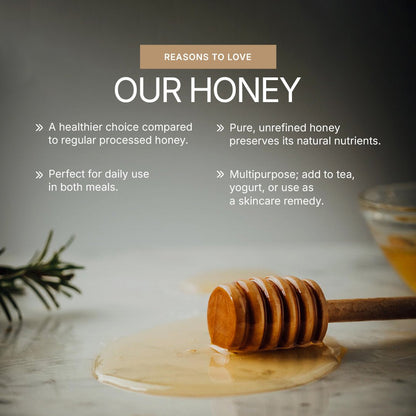 Wild Natural Honey 250G - Raichura Organic Farm